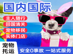 集宁机场邮寄国际宠物托运 【国